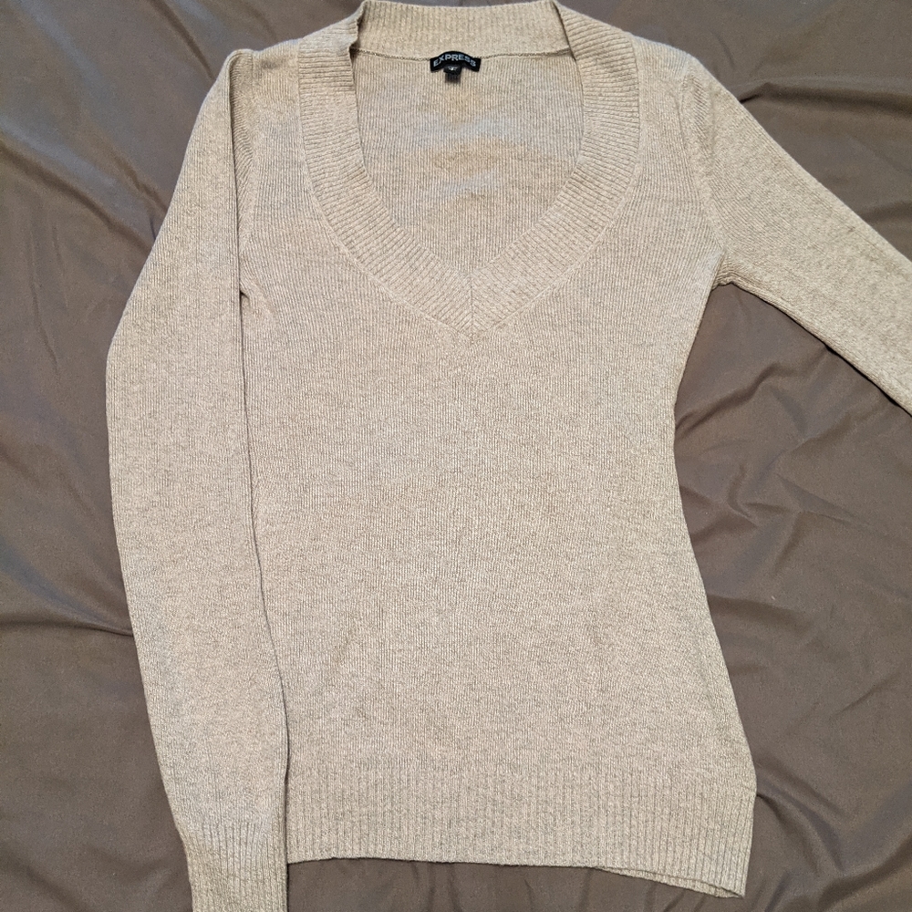 Express Fitted Deep Vee Sweater
